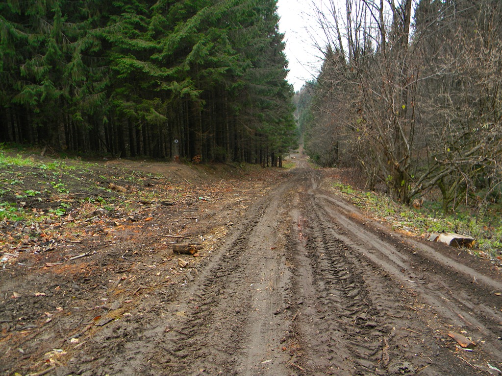 [DSCN22343.jpg]