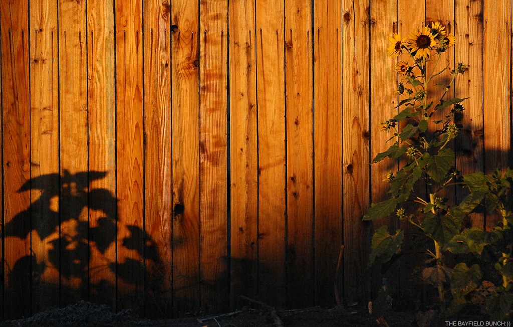 [DSC_7156%255B4%255D.jpg]