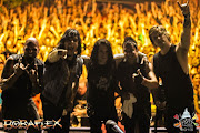 Bobaflex
