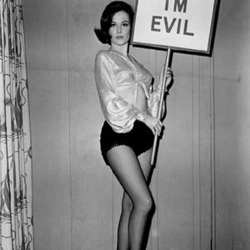 shelley fabres