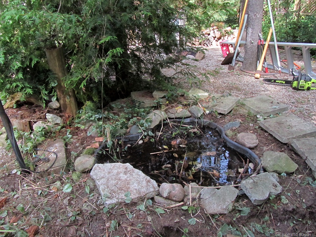 [IMG_0234%255B6%255D.jpg]