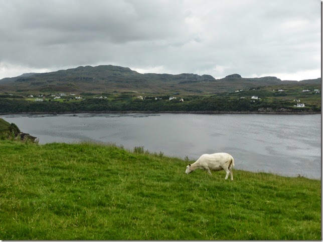 Isle of Skye 044