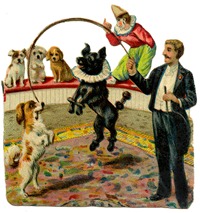 circus dogs vintage image graphicsfairy008b