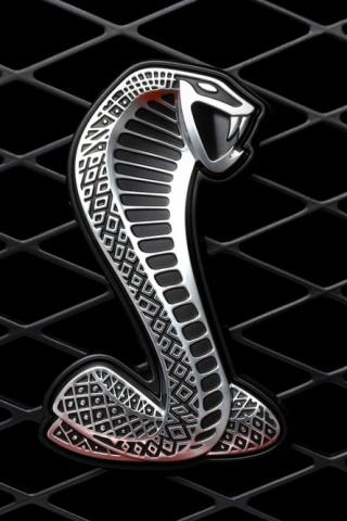 Jwarren-shelby_cobra