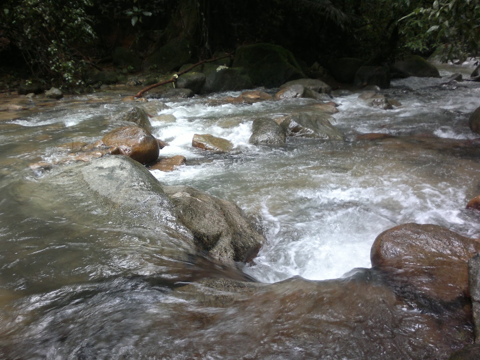 Air Terjun Bekok Ditutup / Cik Bunga a.k.a ciktim: Cerita Air Terjun Sg