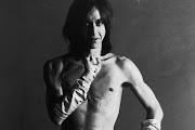 Iggy Pop