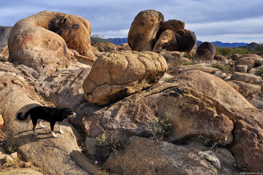 [DSC_0065%255B4%255D.jpg]