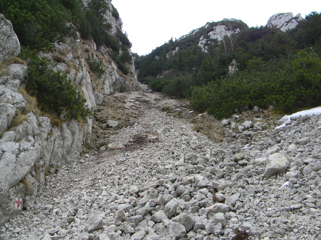 [DSCN49183.jpg]
