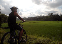 Go Holiday To Lombok Island Indonesia