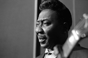 Muddy Waters