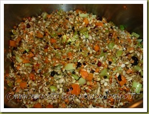 Zuppa i cereali con legumi e verdurine (3)