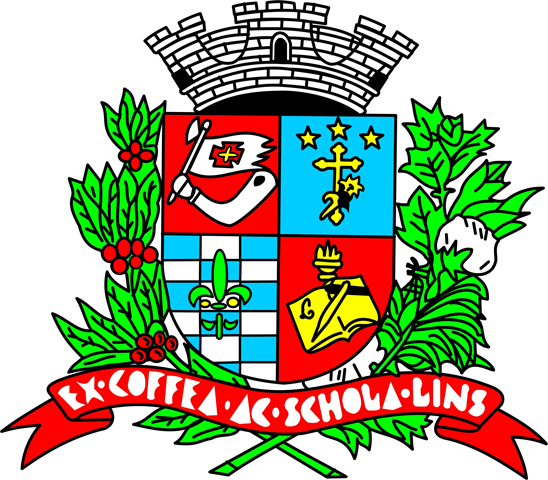 [C%25C3%25A2mara%2520Municipal%2520de%2520Lins%2520-%2520sp%255B30%255D.png]