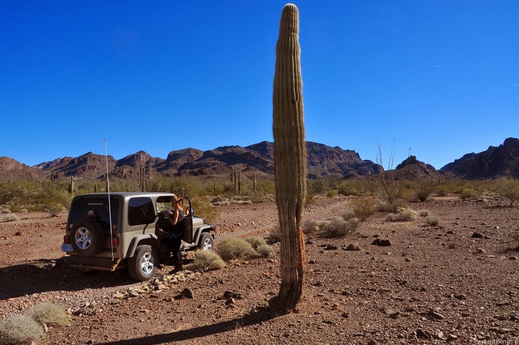 [DSC_0030%255B4%255D.jpg]