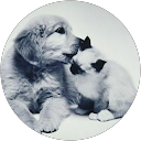 Image Google de Roselyne Courtois