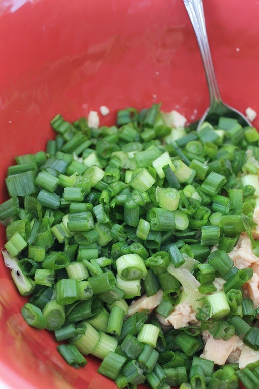 [green-onions-salad3.jpg]