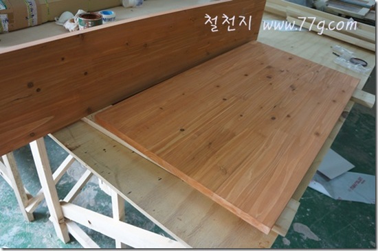 철천지DSC02808-20120608-135812