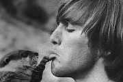 Dennis Wilson