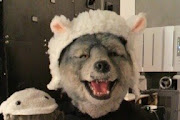 Man With A Mission