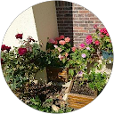 Image Google de _ Charligny_