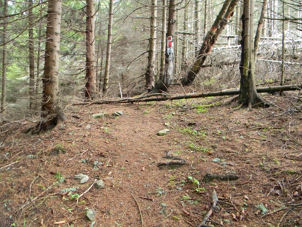 [DSCN08493.jpg]