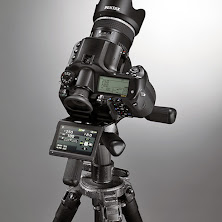 rrsq8iffpuv21uuzygjc.jpg