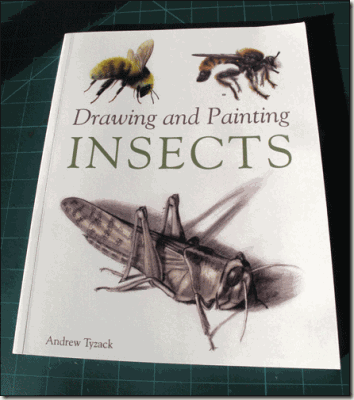 Drawing-insects-bg