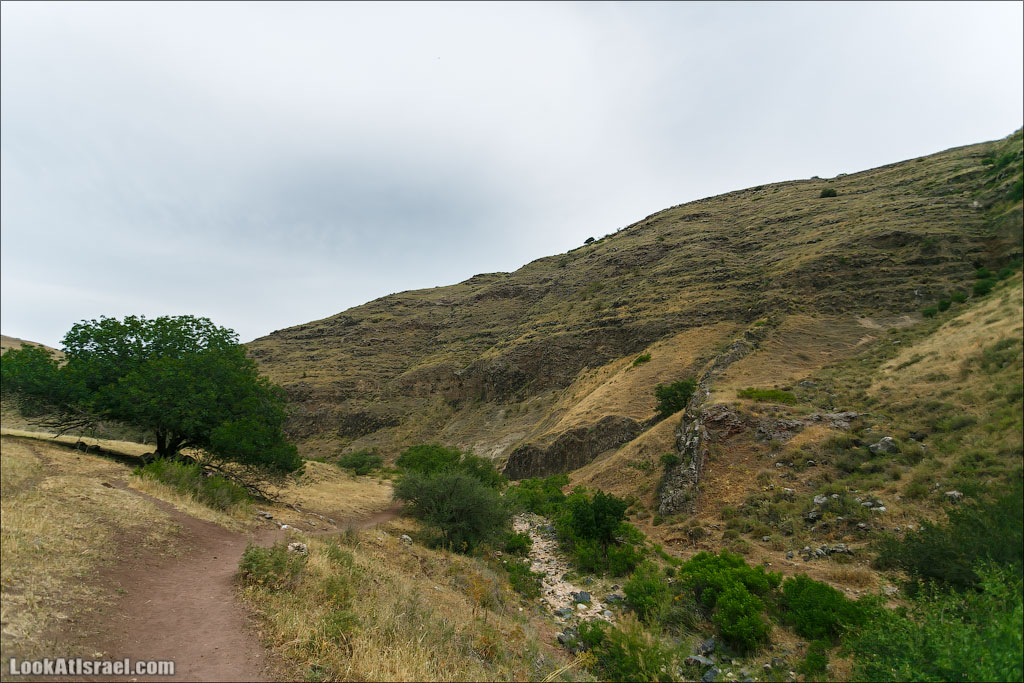 LookAtIsrael.com: Фото-блог о путешествиях по Израилю. Тель Авив, Иерусалим, Хайфа 