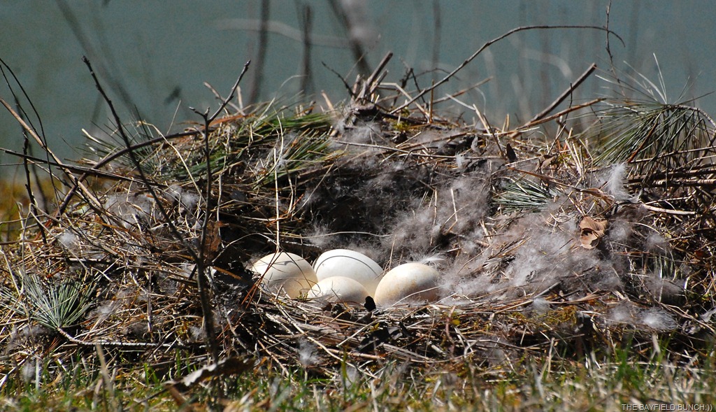 [DSC_9154%255B4%255D.jpg]