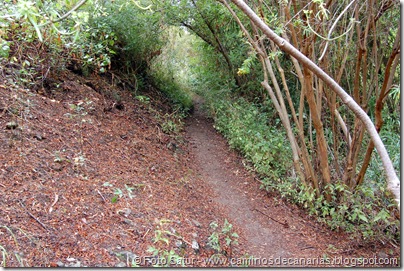 6162 Azuaje-Carretería-Azuaje 6162 Azuaje-Carretería-Azuaje