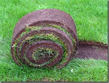 a beautiful thing: rolled sod