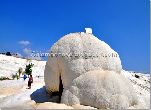 DSC_2518_Fotor DSC_2518_Fotor