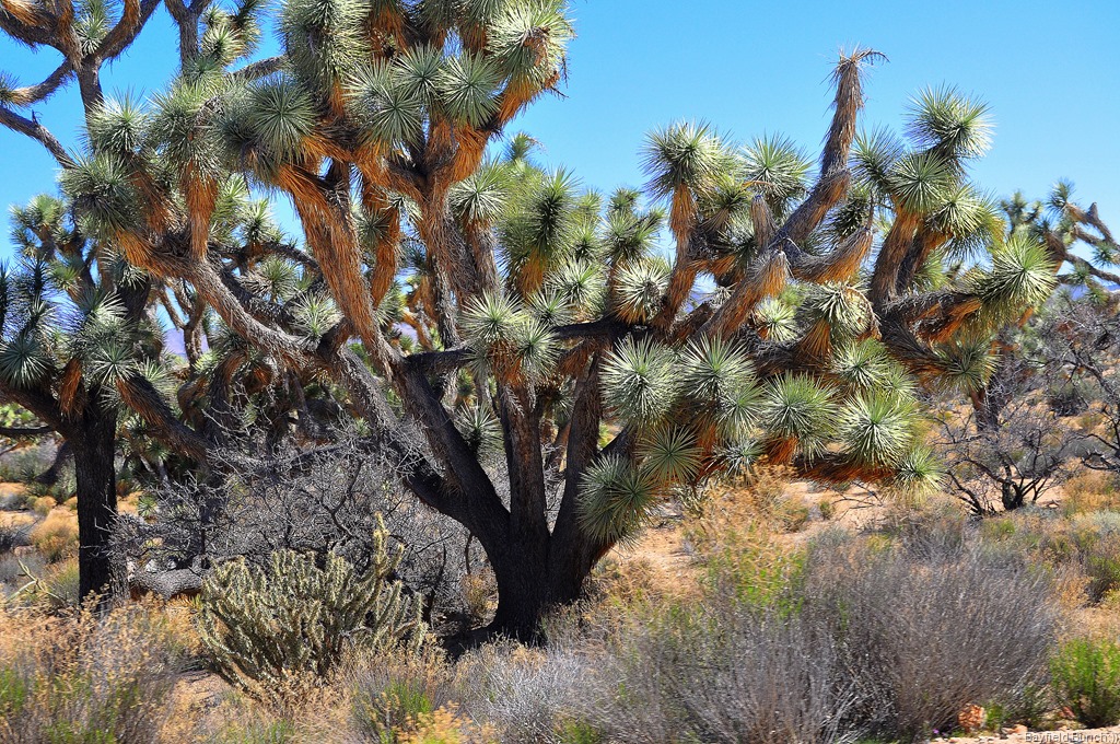 [DSC_0045%255B1%255D.jpg]