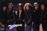Whitesnake