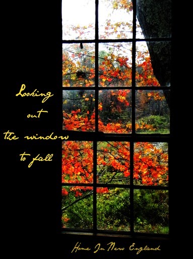 fall window