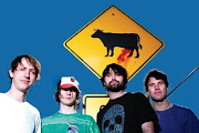 Animal Collective