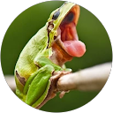 Barbi Mata profile picture