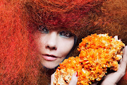 Björk