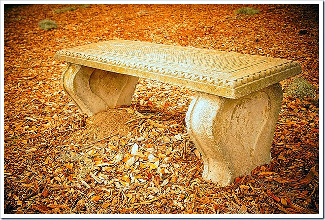 free-pictures-benches-1 (478)