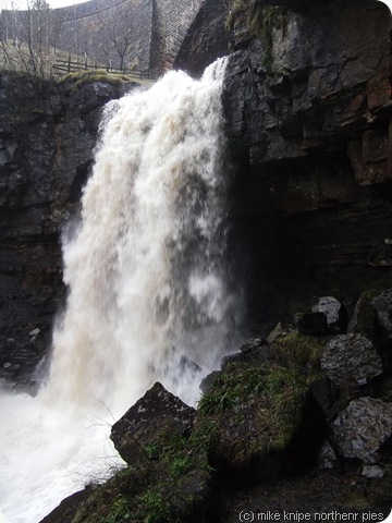 ash gill force