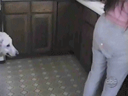 [20c7fb3559f8239811692a82da2%255B2%255D.gif]