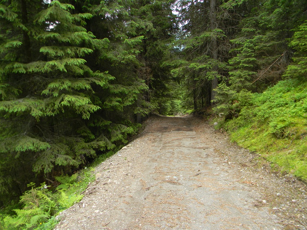 [DSCN29163.jpg]