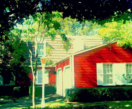 The red house: Watson-Will IMG_0733