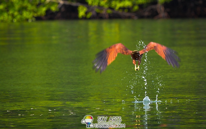 [Naturally%2520Langkawi%2520Bloggers%2520FAM%2520Trip%25202013%2520LADA%2520%2523tianchad-268%255B5%255D.jpg.webp]