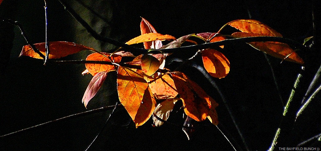 [DSC_4224%255B4%255D.jpg]