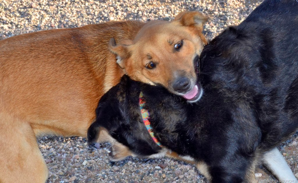 [DSC_0006%255B3%255D.jpg]