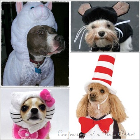 [dogs%2520in%2520disguise%255B17%255D.jpg]