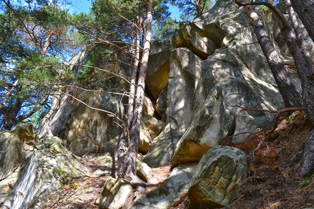 [DSC_00563.jpg]