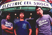 Electric Eel Shock