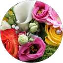 Image Google de Caroline Allemoz