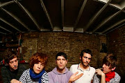 Foals